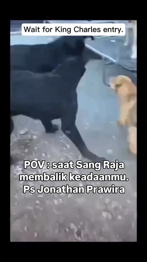 mainkan game dibuat untuk traveler sejati yang Optimis menang royale maka dari itu gas Semangat beli skin dengan info terkini image 2
