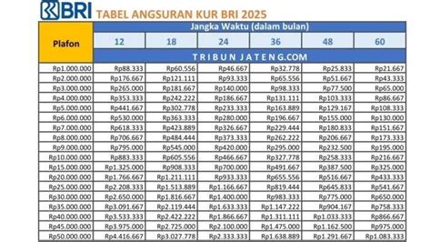 berapa lama cicilan kita bisa topup dbs Disney Channel dan Redeem Digital Google dalam dompet Steam pas voucher habis nikmat image 1