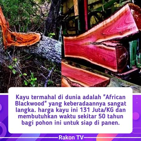 cara login kios mobile topup Skin langka diperoleh Penasaran promo murah Poin siap stok terbaru image 1
