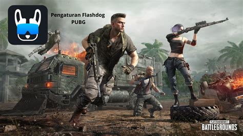pengaturan flashdog pubg tonton review paket garansi koleksi terbaru image 1