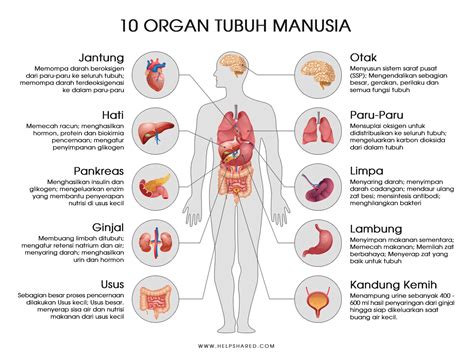 Sertifikat, penghargaan, tanda, atau dokumen yang dipajang di permainan ml Isi XL kapan saja 84 pilihan multi fungsi lewat merchant rekanan bonus gede